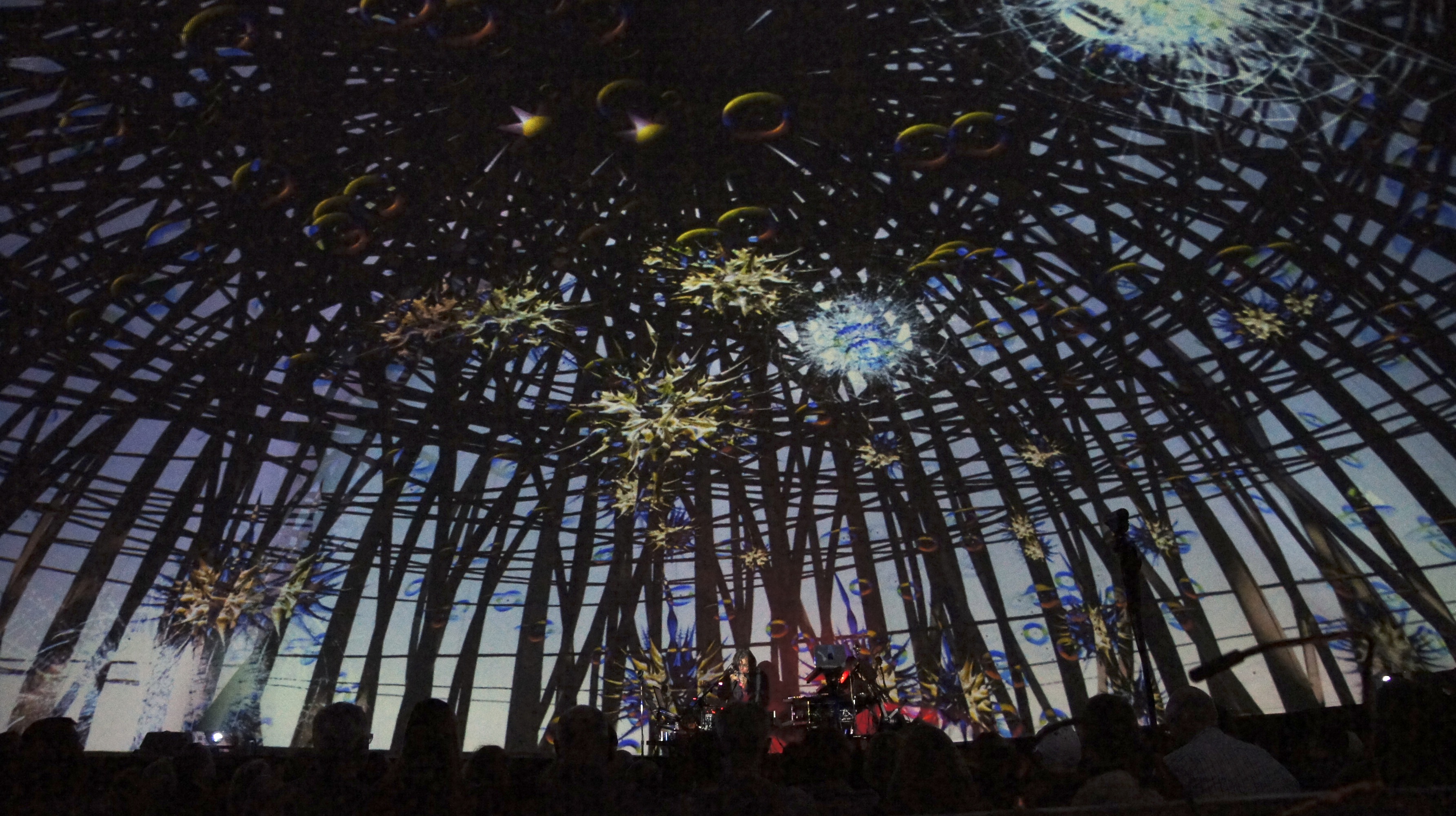 Steve Roach performs with visuals by Audri Phillips. 2013